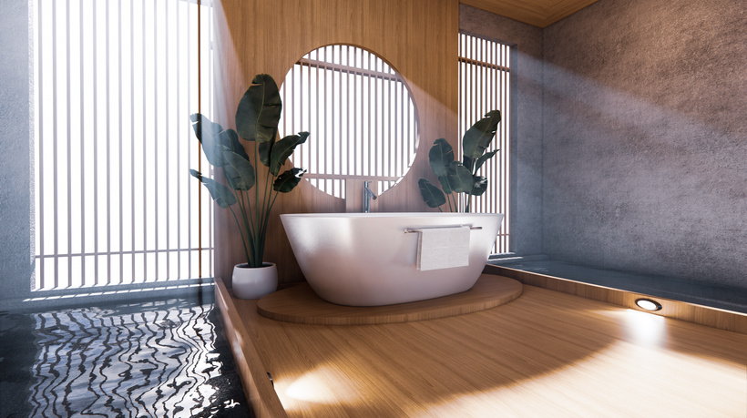 Bathtub Contemporary Bathroom Interior